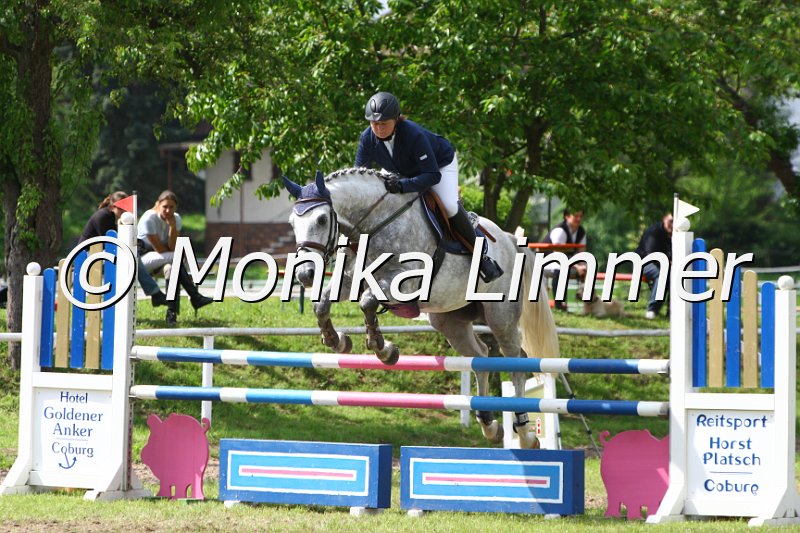 005M6502_Quietol_Springpferde L.JPG